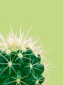 Way to beauty - dauerhafte Haarentfernung 10 Jahre im Bodyline